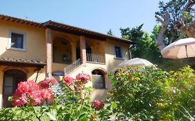 Il Gelso